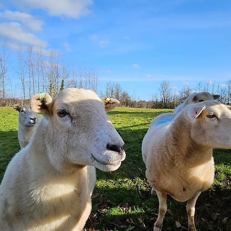 Sleeps 12, Stunning Dog Friendly Lodge, Rural Village Nether Stowey Luaran gambar